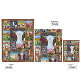 Cow Print Blanket, Cute Farm Animal Cow Blanket 30x40