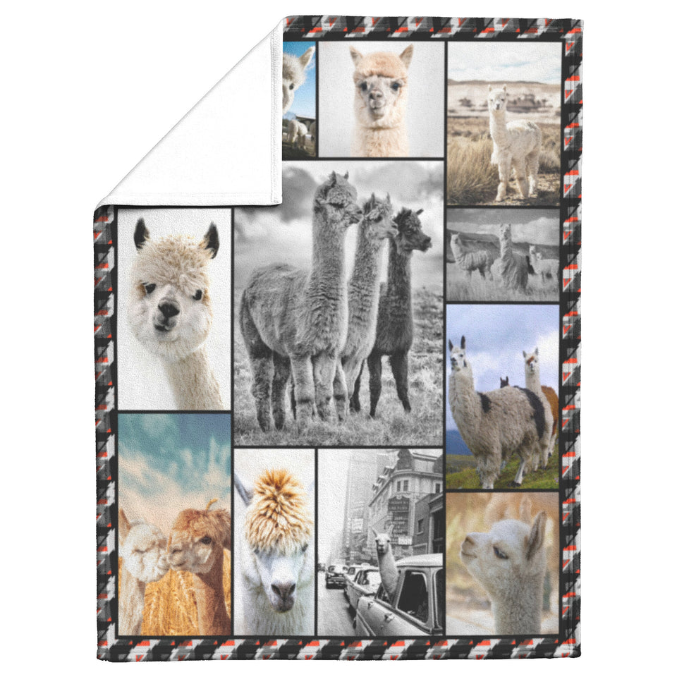 Cute Alpaca Blanket copy