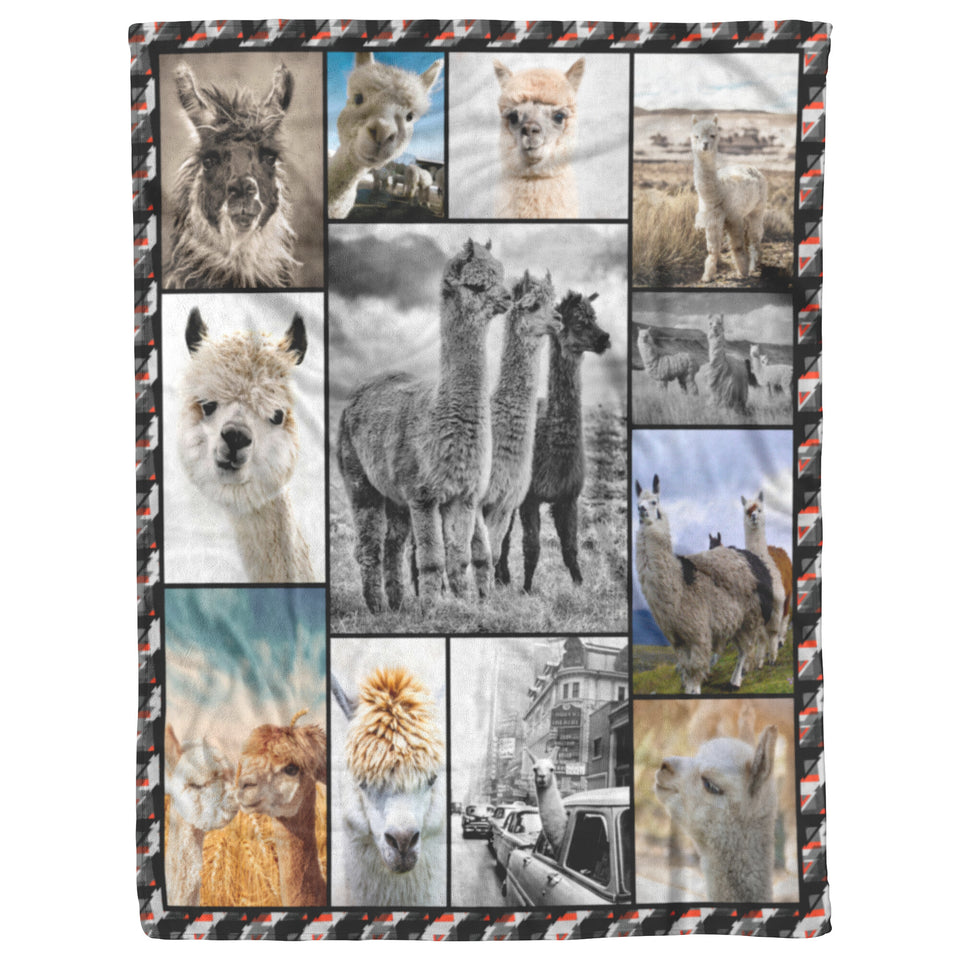 Cute Alpaca Blanket copy