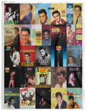 Elvis Presley Blanket, Elvis Fleece, Sherpa Blanket V4 VPL Cozy Plush Fleece Blanket - 60x80