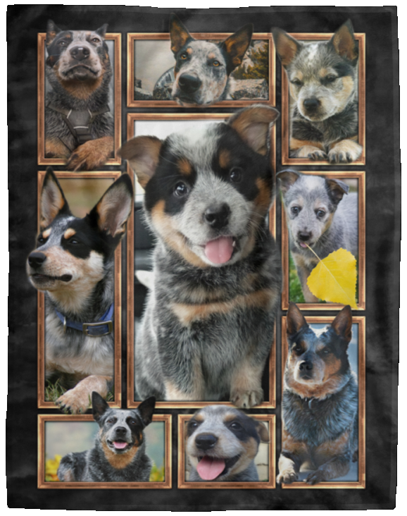 Australian Cattle Dog Blanket, Blue Heelers 3D Fleece, Sherpa Blanket, Gift Idea VPL Cozy Plush Fleece Blanket - 60x80