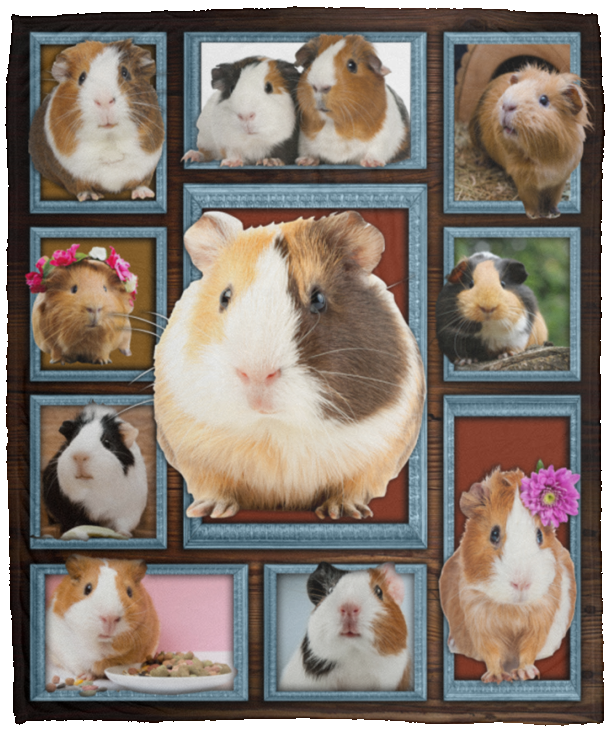 Guinea pig Blanket, Cute Guinea pig 3D Fleece, Sherpa Blanket VPM Cozy Plush Fleece Blanket - 50x60