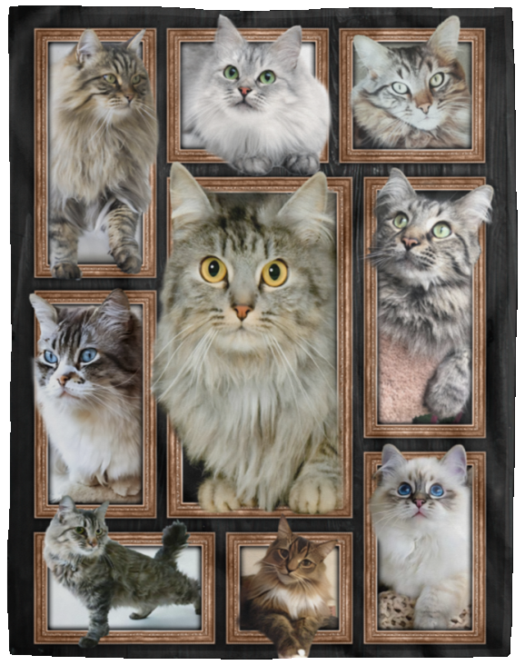 CATS 3D Blanket, Cute Cat Fleece, Sherpa Blanket, Gift Ideas VPL Cozy Plush Fleece Blanket - 60x80