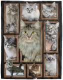 CATS 3D Blanket, Cute Cat Fleece, Sherpa Blanket, Gift Ideas VPL Cozy Plush Fleece Blanket - 60x80