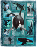 CUTE ORCA Blanket, Orca 3D Fleece, Sherpa Blanket, Orca Lover Gift Ideas VPL Cozy Plush Fleece Blanket - 60x80