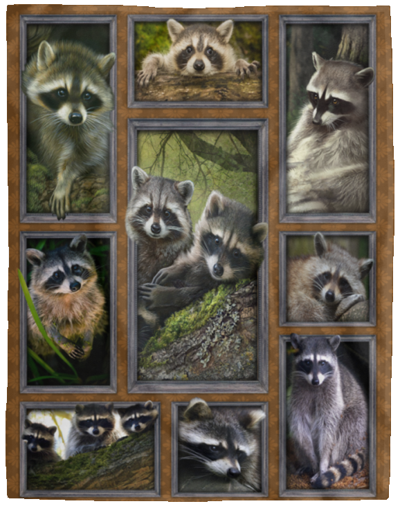 Raccoon Blanket, 3D Raccoon Fleece, Sherpa Blanket VPL Cozy Plush Fleece Blanket - 60x80