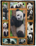 Giant Panda TTL193 3D Quilt Blanket Fleece Sherpa Throw Blanket Quilt - VPL Cozy Plush Fleece Blanket - 60x80