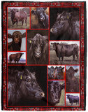 Black Angus Lovely Black Angus Blanket, Fleece, Sherpa Blanket VPL Cozy Plush Fleece Blanket - 60x80