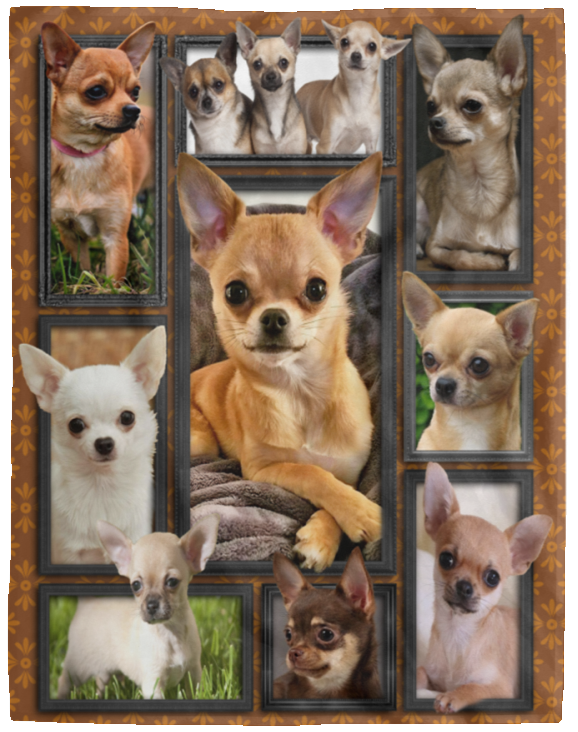Chihuahua Dog Blanket, 3D Chihuahua Fleece, Sherpa Blanket - VPL Cozy Plush Fleece Blanket - 60x80