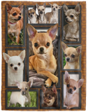 Chihuahua Dog Blanket, 3D Chihuahua Fleece, Sherpa Blanket - VPL Cozy Plush Fleece Blanket - 60x80