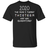 2020 The Year I Turned Thirteen and was Quarantined Shirt T-Shirt