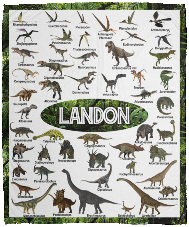 Landon - VPM Cozy Plush Fleece Blanket - 50x60