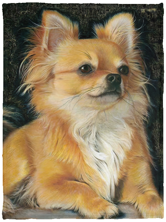 Chihuahua Blanket Blanket, Fleece or Sherpa Blankets Mother's Day, Father's Day, Christmas Birthday Present Blankets, Gift IdeaVPS Cozy Plush Fleece Blanket - 30x40