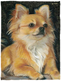 Chihuahua Blanket Blanket, Fleece or Sherpa Blankets Mother's Day, Father's Day, Christmas Birthday Present Blankets, Gift IdeaVPS Cozy Plush Fleece Blanket - 30x40