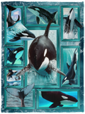 CUTE ORCA Blanket, Orca 3D Fleece, Sherpa Blanket, Orca Lover Gift Ideas VPS Cozy Plush Fleece Blanket - 30x40