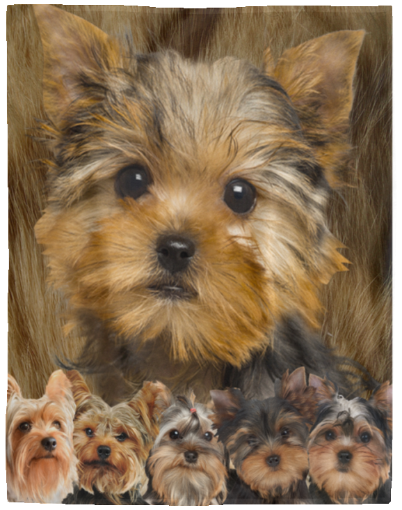 Yorkshire Terrier Blanket, Yorkie Dog Fleece, Sherpa Blanket, Yorkie 3D Blanket - VPL Cozy Plush Fleece Blanket - 60x80