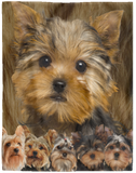 Yorkshire Terrier Blanket, Yorkie Dog Fleece, Sherpa Blanket, Yorkie 3D Blanket - VPL Cozy Plush Fleece Blanket - 60x80