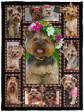 YORKIE Dog Blanket, Yorkshire Terrier 3D Fleece, Sherpa Blanket, Gift Ideas - VPS Cozy Plush Fleece Blanket - 30x40