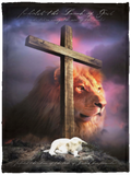 Mr.Jyotis Lion of Judah, Lamb of God Throw Blanket Soft Fleece Throw Blanket - VPS Cozy Plush Fleece Blanket - 30x40