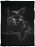 Halloween Black Cat Blanket, Soft Fleece, Sherpa Blankets Gifts, Black Cat  - VPS Cozy Plush Fleece Blanket - 30x40
