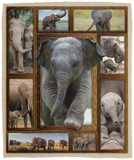 Elephant 3D Blanket Elephant Lover Quilt Fleece Sherpa Throw Blanket VPM Cozy Plush Fleece Blanket - 50x60