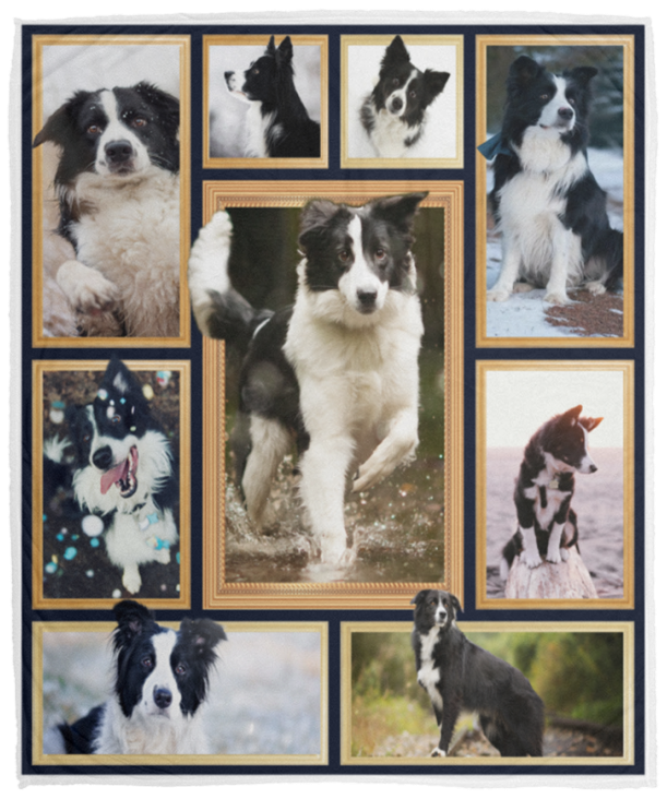 Border Collie Blanket Border Collie Lover Quilt Fleece Sherpa Blanket - VPM Cozy Plush Fleece Blanket - 50x60