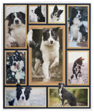 Border Collie Blanket Border Collie Lover Quilt Fleece Sherpa Blanket - VPM Cozy Plush Fleece Blanket - 50x60