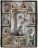 Koala Blanket, Koala 3D Fleece, Sherpa Blanket, Koala Lover Gift Ideas VPL Cozy Plush Fleece Blanket - 60x80