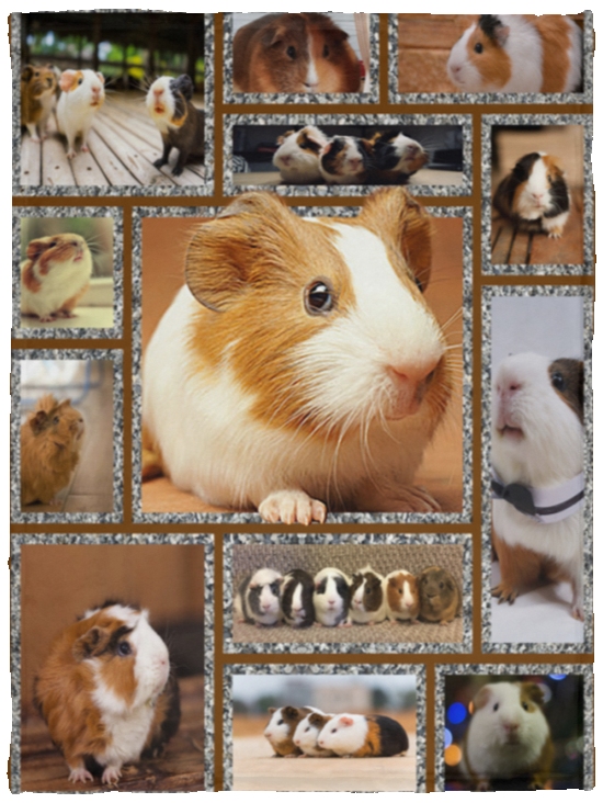 Guinea Pig Blanket Guinea pig 3D Quilt Do You Love Carrot Fleece, Sherpa Blanket VPS Cozy Plush Fleece Blanket - 30x40