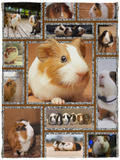 Guinea Pig Blanket Guinea pig 3D Quilt Do You Love Carrot Fleece, Sherpa Blanket VPS Cozy Plush Fleece Blanket - 30x40