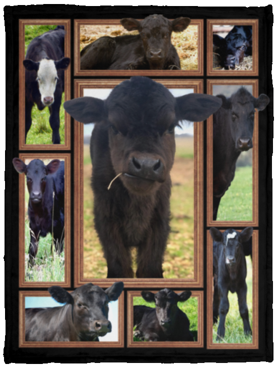 Cow Black Angus Calves Blanket Blanket, Fleece or Sherpa Blankets Mother's Day, Father's Day, Christmas Birthday Present Blankets, Gift Idea VPS Cozy Plush Fleece Blanket - 30x40