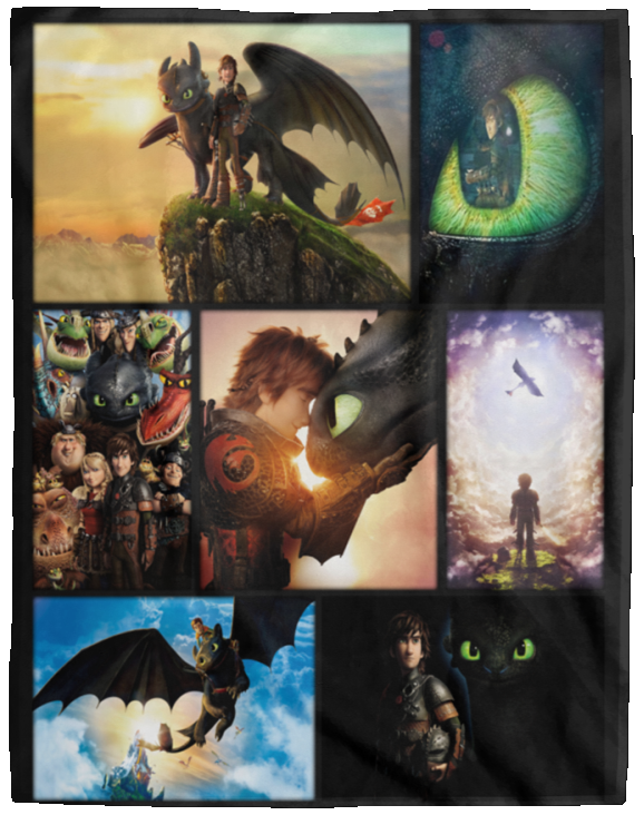How to Train Your Dragon Blanket, Best Friends Forever Fleece, Sherpa Blanket - VPL Cozy Plush Fleece Blanket - 60x80