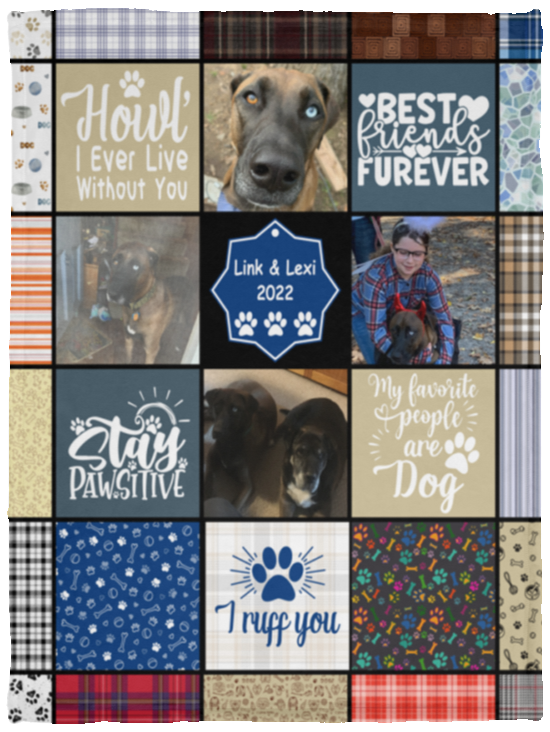 Link & Lexi 2022 - VPS Cozy Plush Fleece Blanket - 30x40