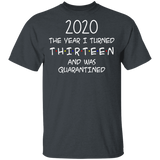 2020 The Year I Turned Thirteen and was Quarantined Shirt T-Shirt
