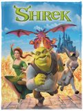 Shrek Blanket, Shrek Movie Fleece, Sherpa Blanket - VPS Cozy Plush Fleece Blanket - 30x40
