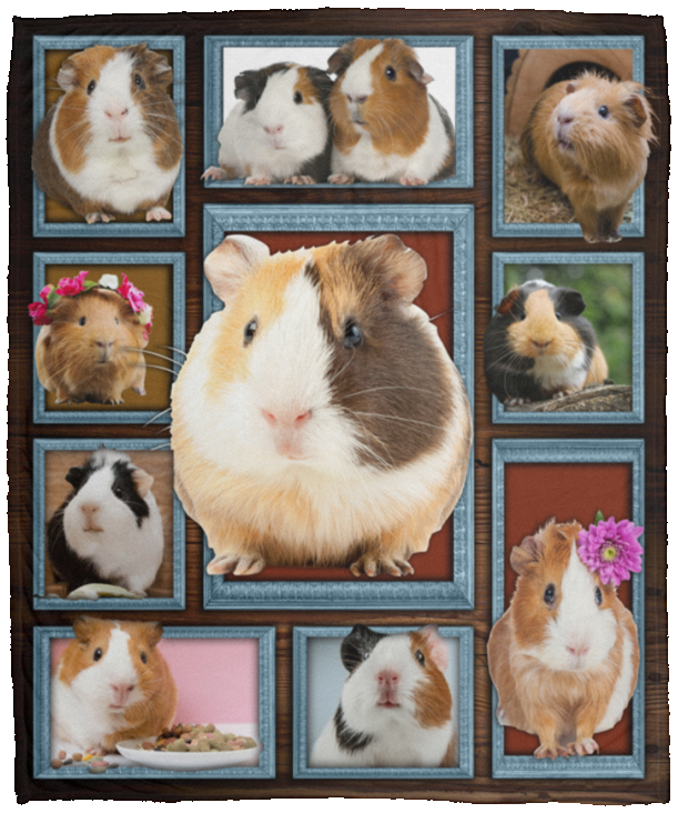 Guinea pig Blanket, Cute Guinea pig 3D Fleece, Sherpa Blanket VPM Cozy Plush Fleece Blanket - 50x60
