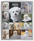 Maltese Blanket, Fleece or Sherpa Blankets Mother's Day, Father's Day, Christmas Birthday Present Blankets, Gift Idea Version 1 - VPM Cozy Plush Fleece Blanket - 50x60