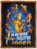 We Are Never Too Old For Tigger Blanket The Tigger Quilt Fleece Sherpa Throw VPS Cozy Plush Fleece Blanket - 30x40