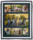 Australian Shepherd Blanket Fleece Sherpa Throw Quilt Blanket for Bedroom Sofa VPM Cozy Plush Fleece Blanket - 50x60
