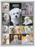 Maltese Blanket, Fleece or Sherpa Blankets Mother's Day, Father's Day, Christmas Birthday Present Blankets, Gift Idea Version 1, Multi Size VPS Cozy Plush Fleece Blanket - 30x40