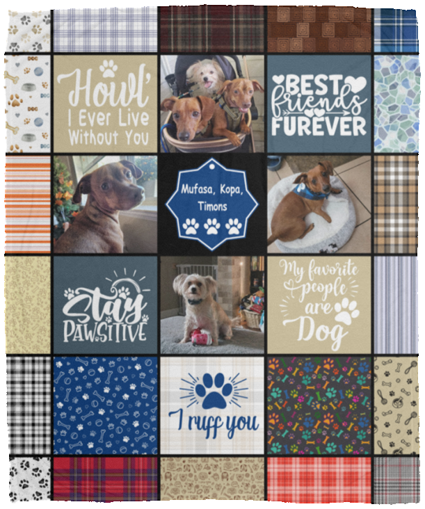 Mufasa, Kopa, Timons - VPM Cozy Plush Fleece Blanket - 50x60