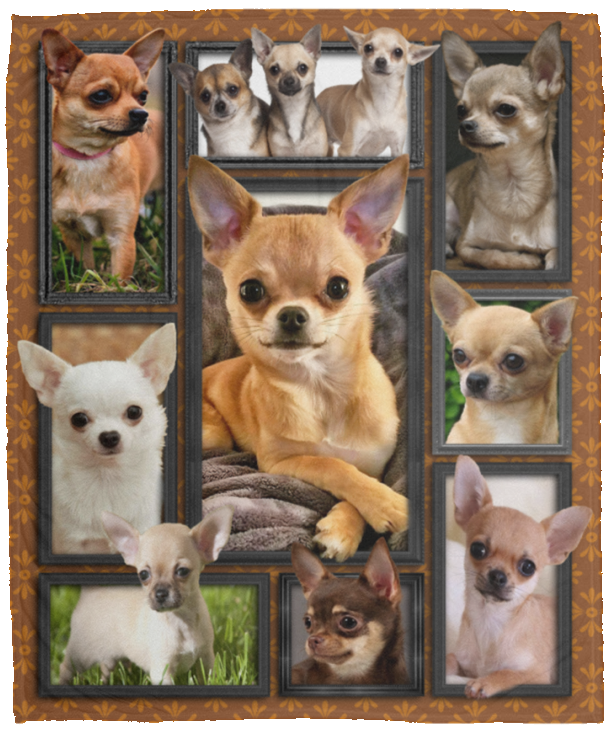 Chihuahua Dog Blanket, 3D Chihuahua Fleece, Sherpa Blanket - VPM Cozy Plush Fleece Blanket - 50x60