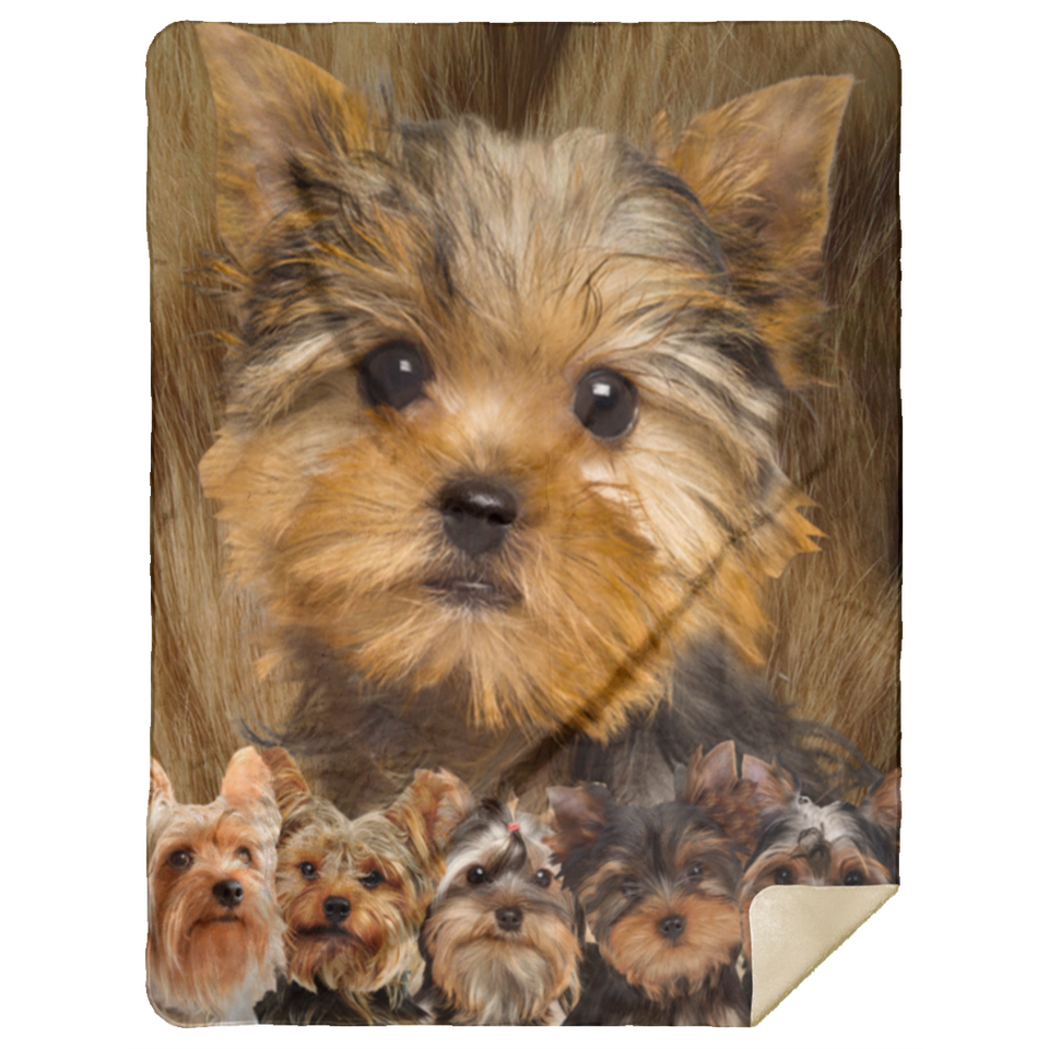 Yorkshire Terrier Quilt Fleece Sherpa Throw Blanket for Bedroom Living Room Sofa - MSHL Premium Mink Sherpa Blanket 60x80