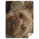 Yorkie Puppy Soft Fleece Throw Blanket, Yorkie Puppy Blanket, Yorkie Puppy Quilt - MSHL Premium Mink Sherpa Blanket 60x80