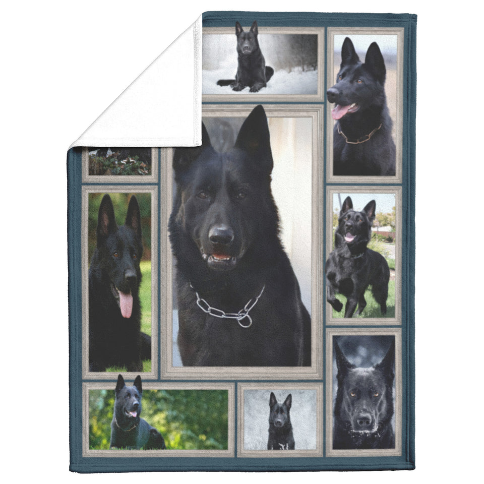 German Shepherd 3D Blanket 50x60