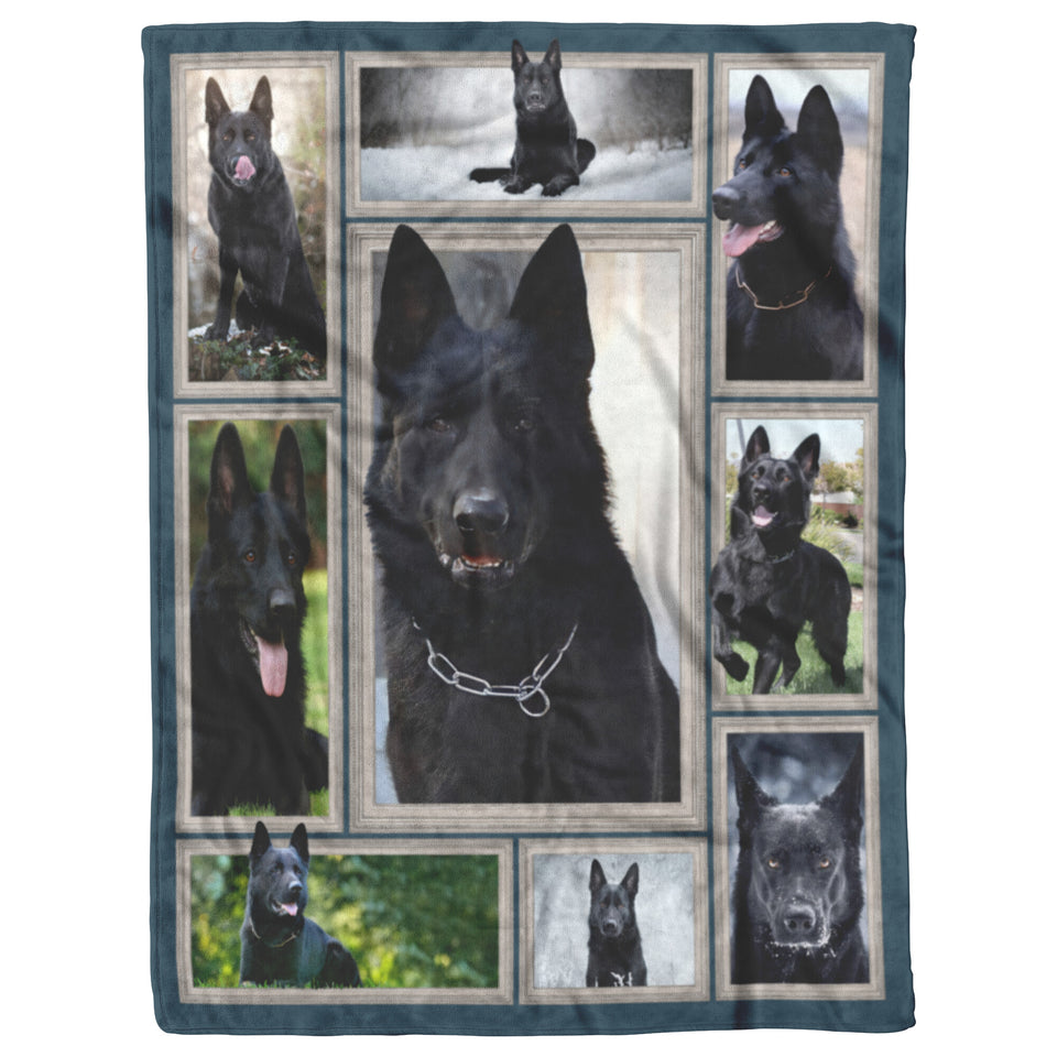 German Shepherd 3D Blanket 50x60