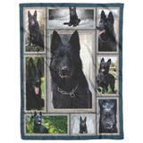 German Shepherd 3D Blanket 50x60