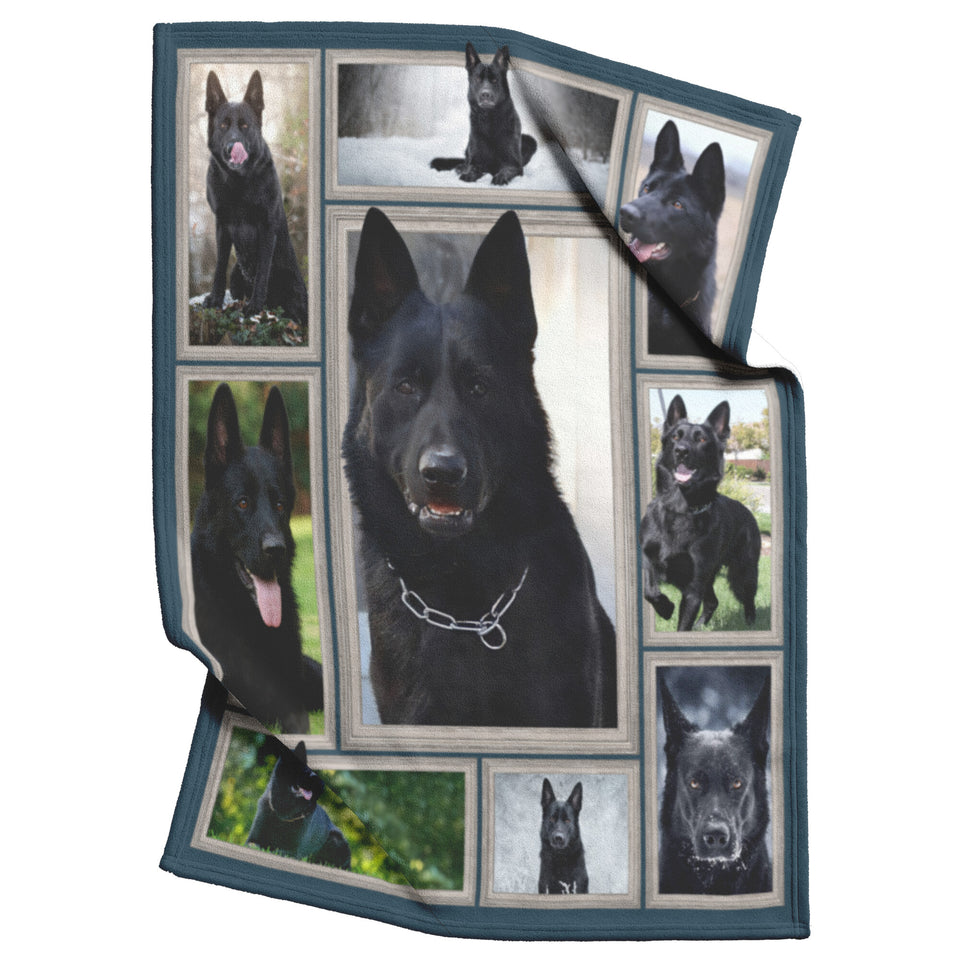 German Shepherd 3D Blanket 50x60