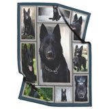 German Shepherd 3D Blanket 50x60