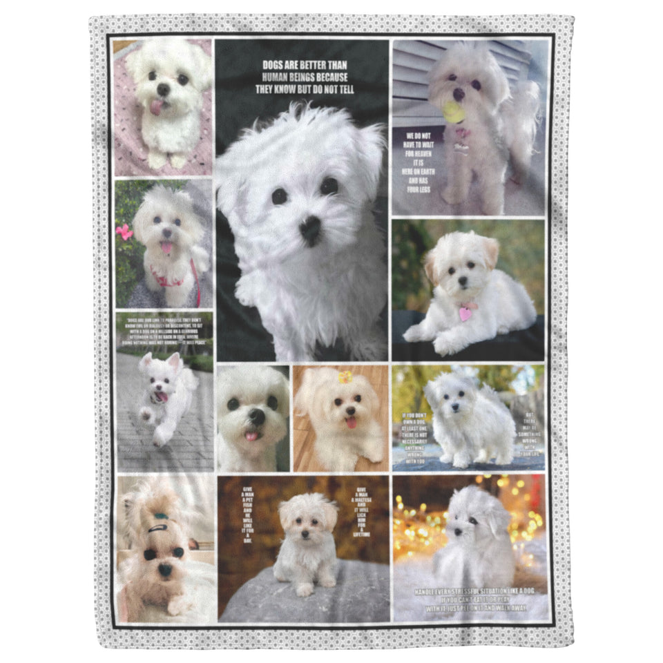 Maltese Blanket
